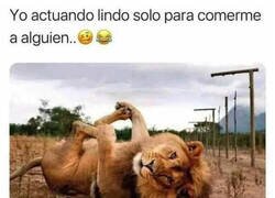 Enlace a Me hago el inocente