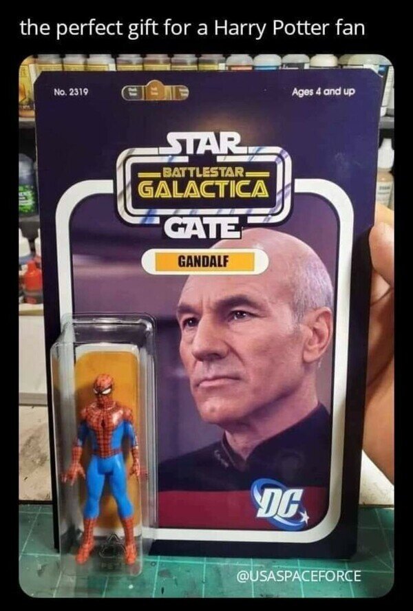 Meme_otros - El regalo perfecto para un fan de Harry Potter