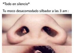 Enlace a Noche de silbidos