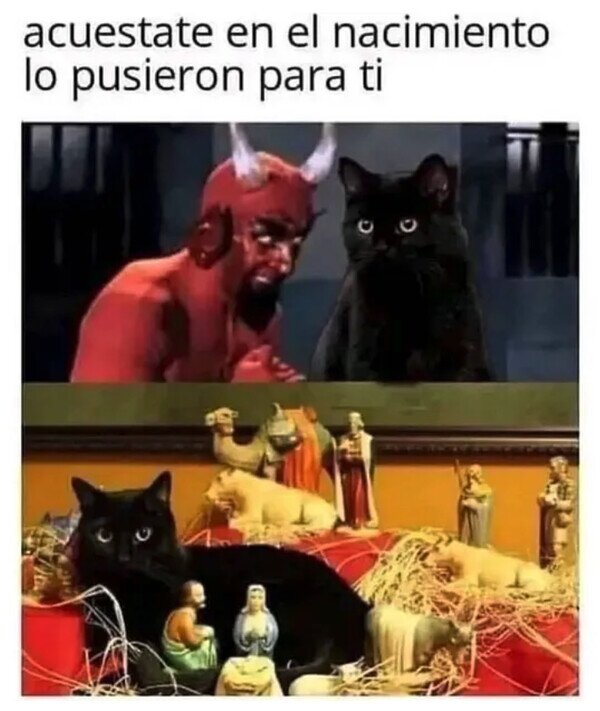 Meme_otros - La voz interior de los gatos
