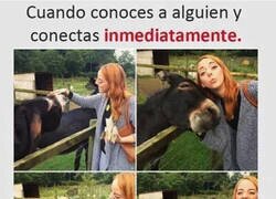 Enlace a Tal para cual