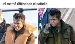 Enlace a Sale con la cabeza manchada