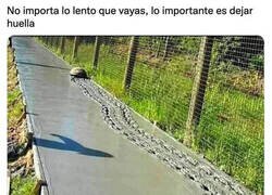 Enlace a ¡Maldita seas, Perry, la tortuga!