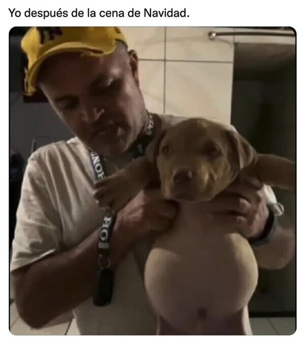 Meme_otros - Me tienen que ayudar