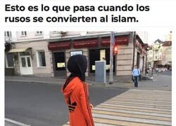Enlace a Se ven más o menos así