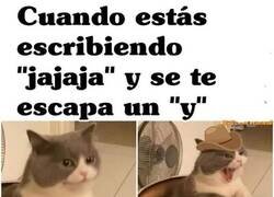 Enlace a Cowboy de repente