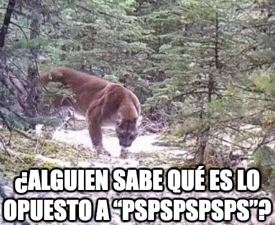 Meme_otros - Yo no me la jugaba, a correr