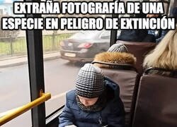 Enlace a Tiene que ser un montaje