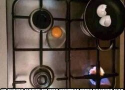 Enlace a Siempre la cago