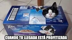 Enlace a Todos los astros se unieron