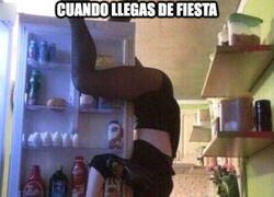 Enlace a No me jodas que se ha quedado dormida ahí cual koala