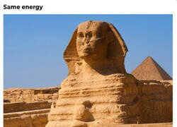 Enlace a El gato esfinge