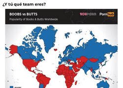 Enlace a ¿Cuál es tu team?