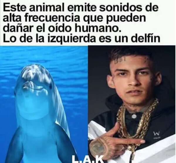 Meme_otros - Sonidos que dañan el oído humano