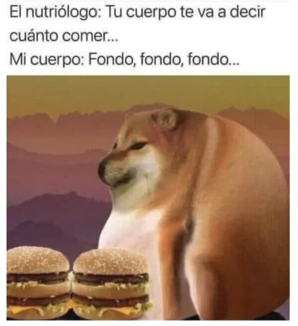 Meme_otros - Mi cuerpo solo come y calla