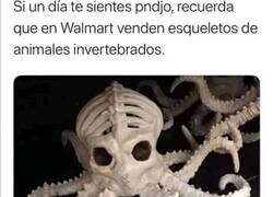 Enlace a ¿Por qué hacen estas cosas?