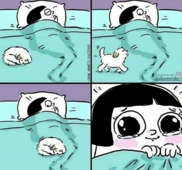 Otros - Si no tienes mascota no podrás entenderlo