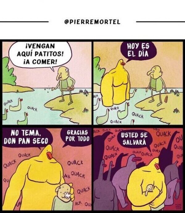 Otros - No subestimes la accián de dar de comer a los patos