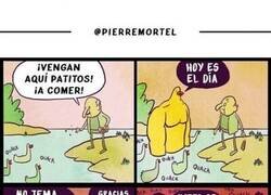 Enlace a No subestimes la accián de dar de comer a los patos