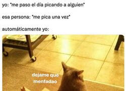 Enlace a Mi umbral de cabreo es muy bajo