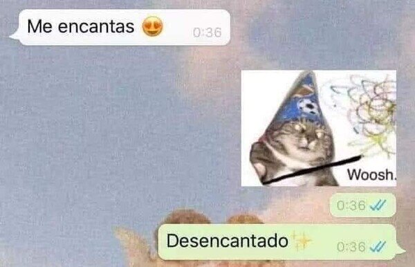 Meme_otros - No te flipes