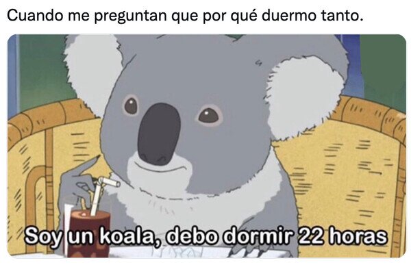 Meme_otros - Ojalá ser un koala