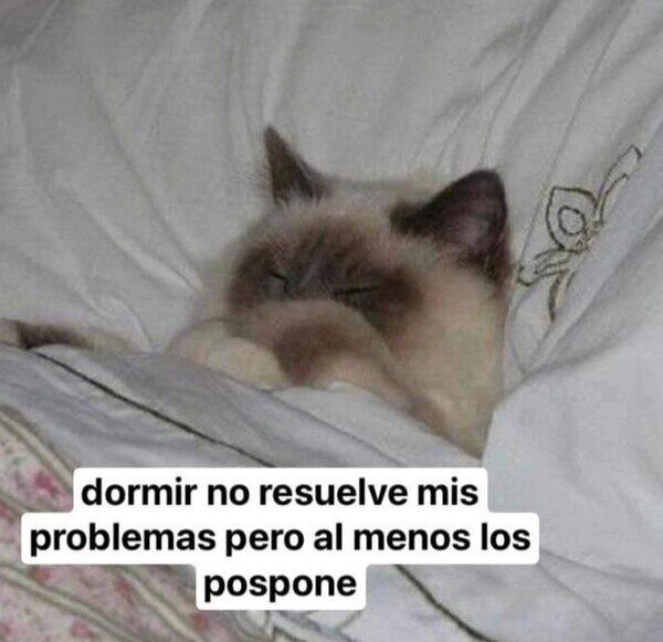 Meme_otros - Soy de la misma opinión