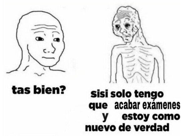 estar bien,exámenes,como nuevo