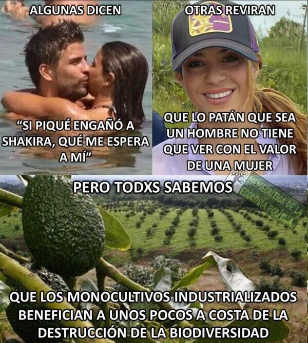 Meme_otros - Lecciones de vida
