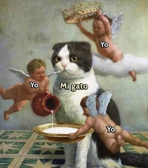 Meme_otros - El rey de la casa