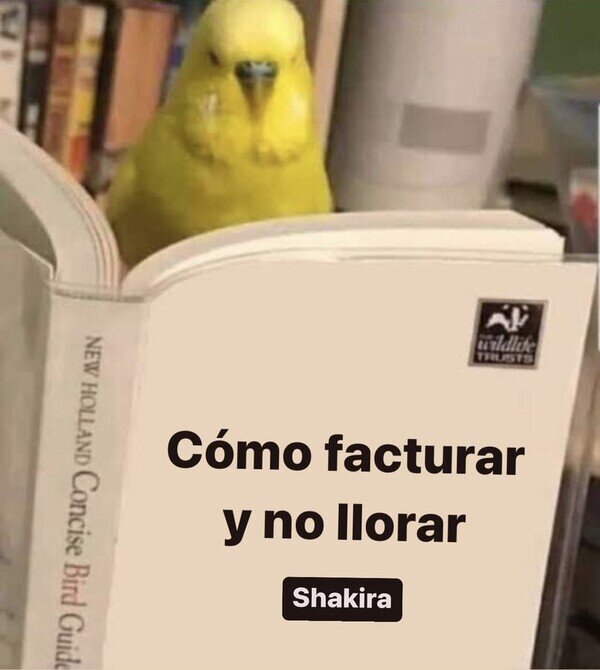 Meme_otros - Y no de-clara-r