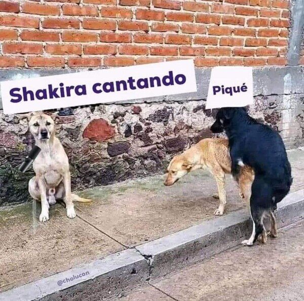 Meme_otros - Tú canta que yo los males espanto