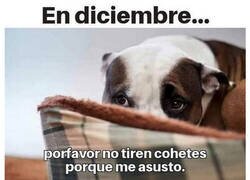 Enlace a Malditos y adorables perros