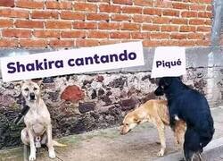 Enlace a Descripción gráfica del lío Piqué-Shakira