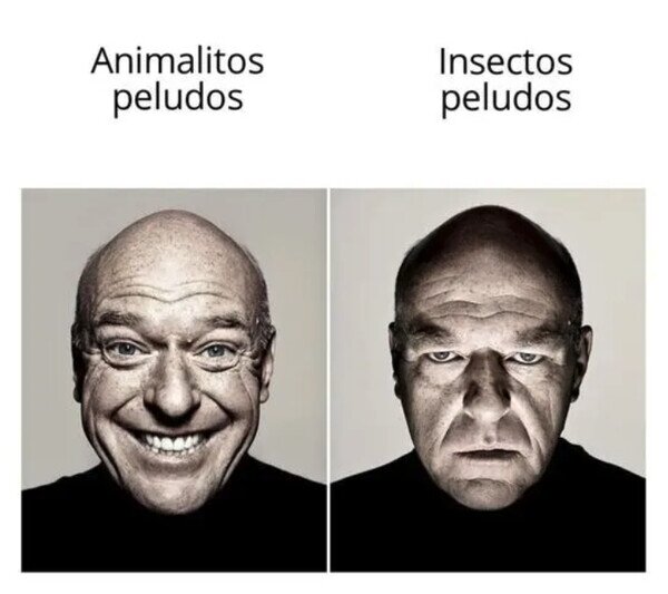 Meme_otros - No me gustan los segundos