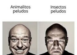 Enlace a No me gustan los segundos