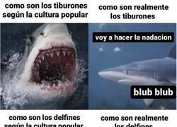 Enlace a Ni los malos son tan malos...