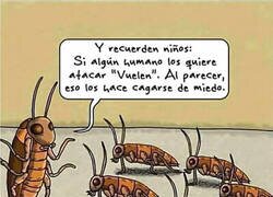 Enlace a Conocen nuestro secreto