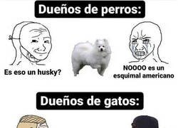 Enlace a Cuestión de razas