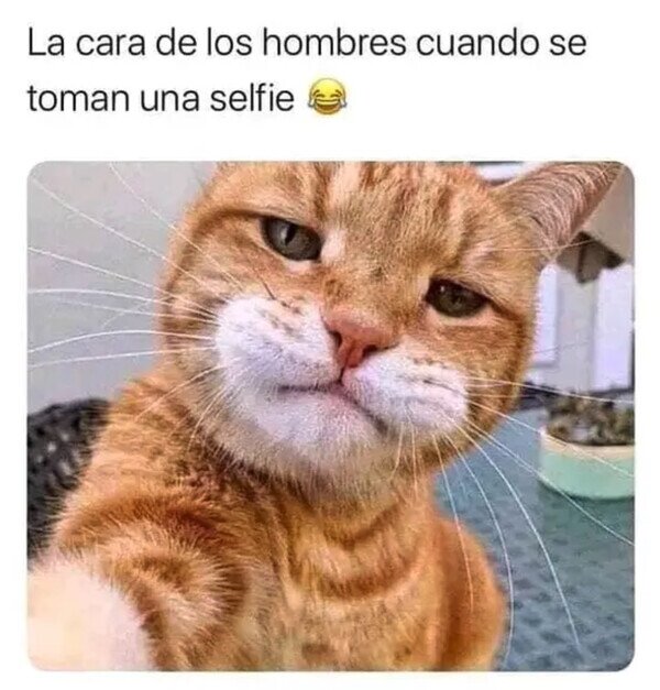 Otros - Se ven más o menos así