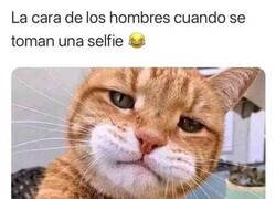 Enlace a Se ven más o menos así