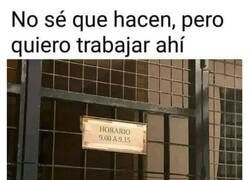 Enlace a Mi horario ideal
