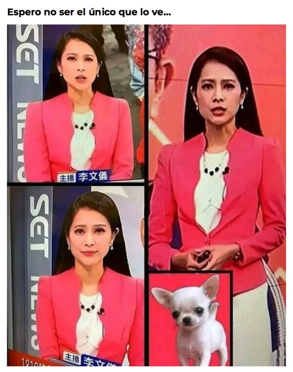 Meme_otros - ¿Tú también lo has visto?