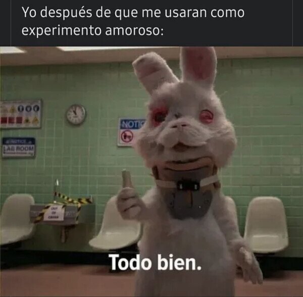 Meme_otros - Estoy relativamente bien