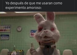 Enlace a Estoy relativamente bien