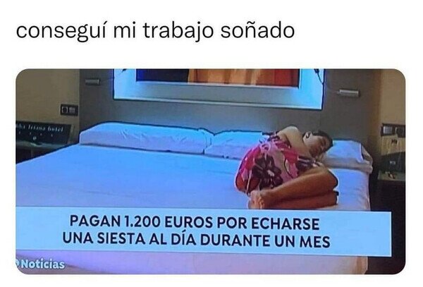 Meme_otros - El trabajo de mis sueños
