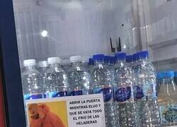 Enlace a En esta tienda saben usar memes