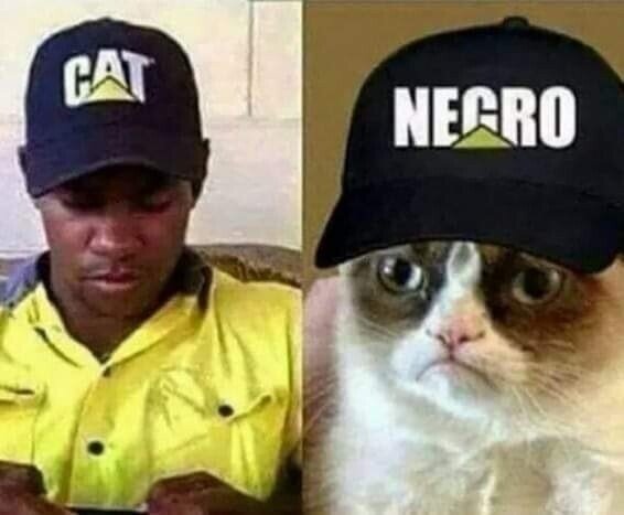 Meme_otros - Grumpy cat está furioso