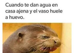 Enlace a Desagradable