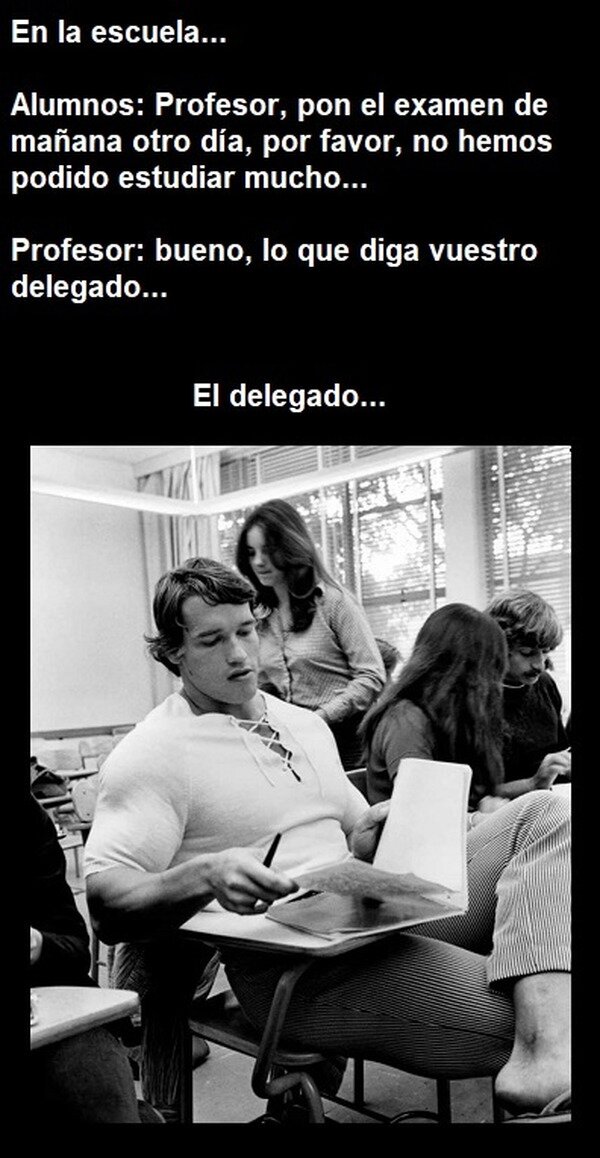 Meme_otros - Lo que diga vuestro delegado...